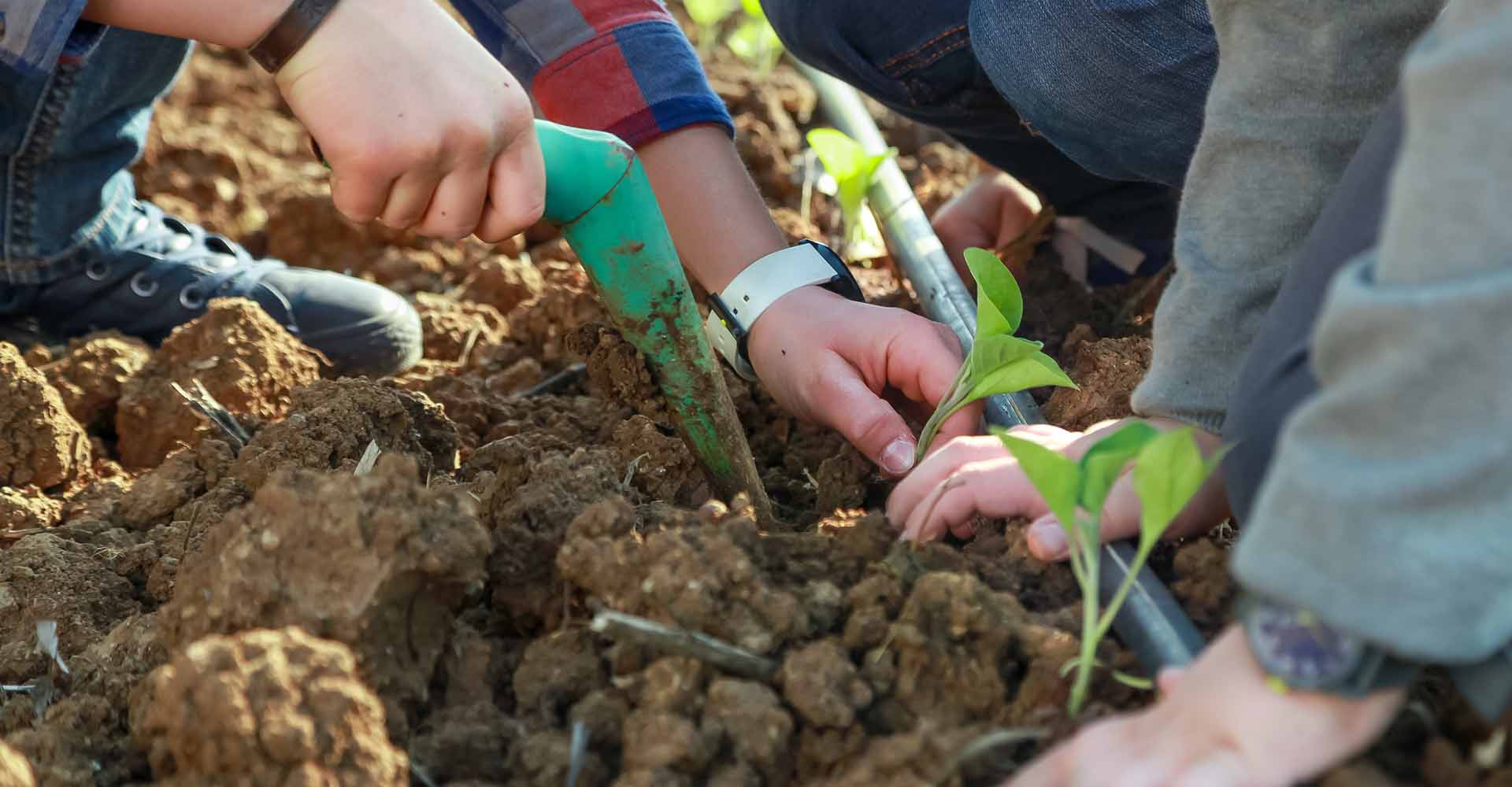 Fattoria didattica Il Pago in Basilicata